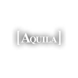 Leading Mens footwear brand Aquila chooses the stockinstore find in store solution to show customers stock availability in their 55 stores and help them shop local.
