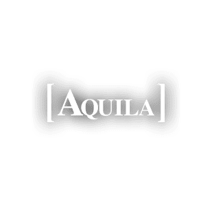 Leading Mens footwear brand Aquila chooses the stockinstore find in store solution to show customers stock availability in their 55 stores and help them shop local.