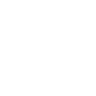 Fayt The Label Logo